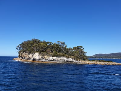 20190919_115300.jpg