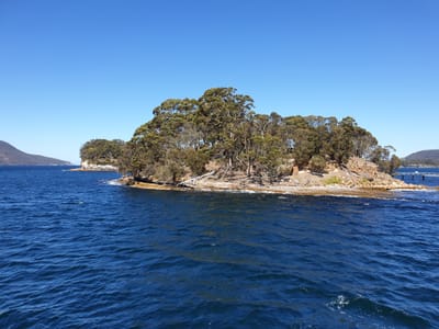 20190919_115826.jpg