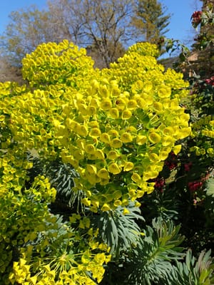 20190919_122451.jpg