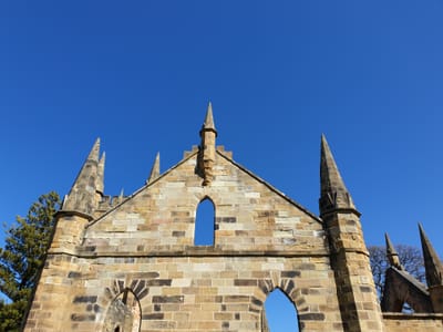 20190919_123123.jpg
