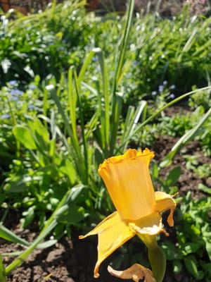 20190919_125446.jpg