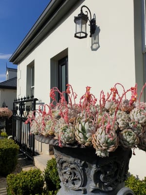20190920_090247.jpg