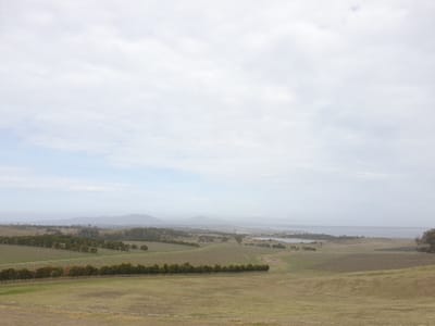 20190920_140052.jpg