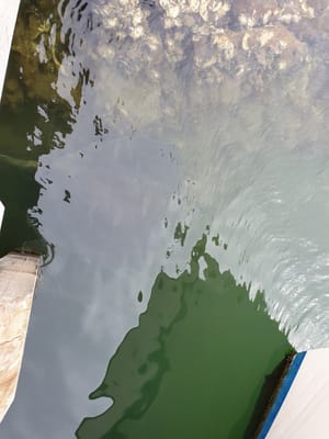 20190921_102751.jpg