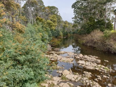 20190921_113309.jpg