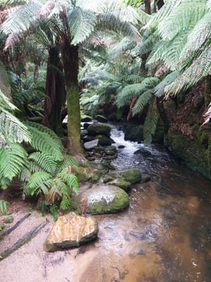 20190921_131511.jpg