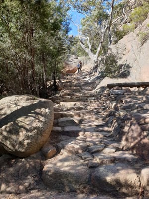 20190922_095929.jpg