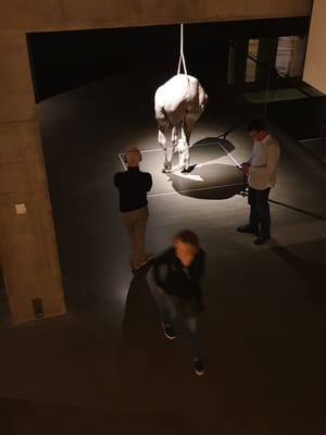 20190923_125050.jpg