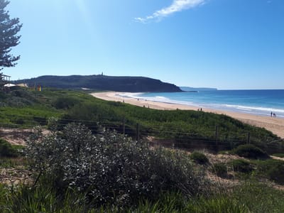 20190729_114219.jpg
