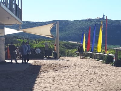 20190729_115044.jpg