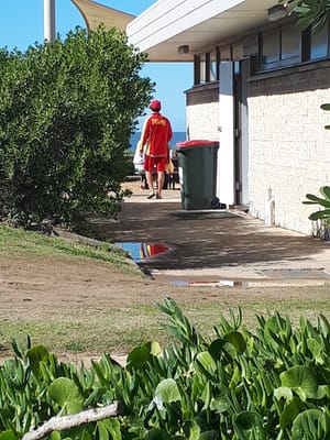 20190729_115207.jpg