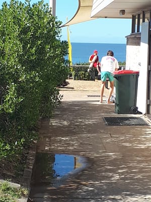 20190729_115245.jpg