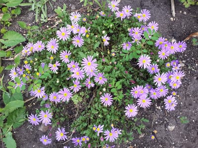 20190421_140342.jpg