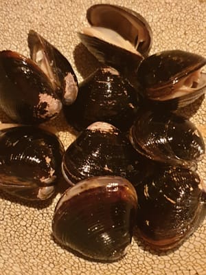 20190703_195243.jpg