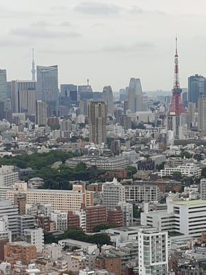 20190705_112812.jpg