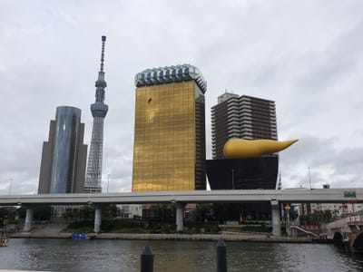 20190706_174540.jpg