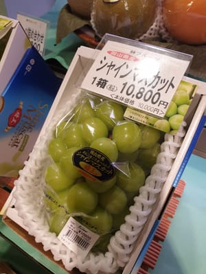 20190825_124932.jpg