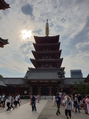 20190825_152410.jpg