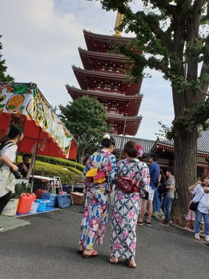 20190825_153159.jpg