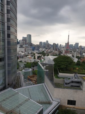 20190826_085653.jpg