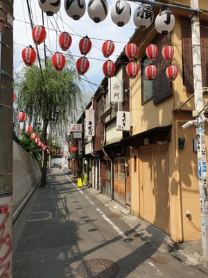 20190826_135028.jpg