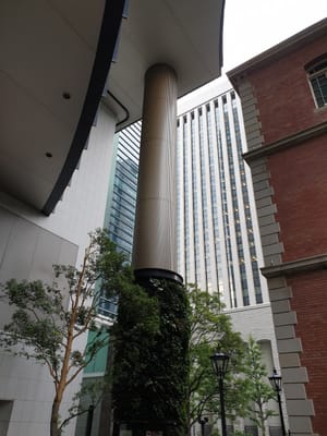 20190826_171523.jpg