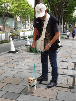 20190827_155701.jpg