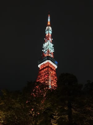 20190828_193326.jpg