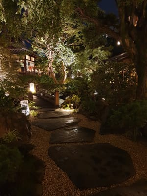 20190828_194146.jpg