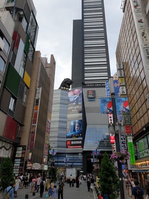 20190901_153658.jpg