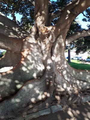 20190707_151453.jpg