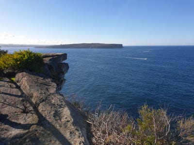 20190707_143942.jpg