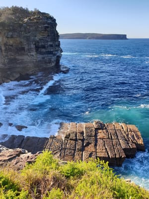 20190707_144744.jpg