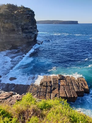20190707_144746.jpg