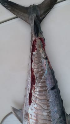 IMG-20191104-WA0002.jpg