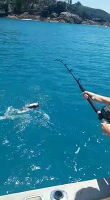 VID-20191015-WA0001.mp4