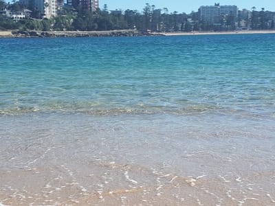20190723_123822.jpg