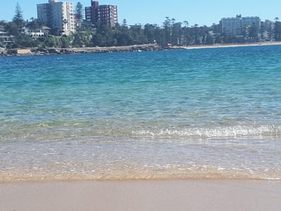 20190723_123827.jpg