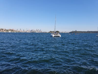 20210425_090607.jpg