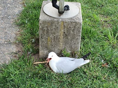 20201120_175923.jpg