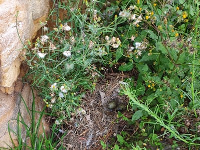 20201120_180457.jpg