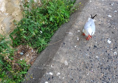 20201120_180516.jpg