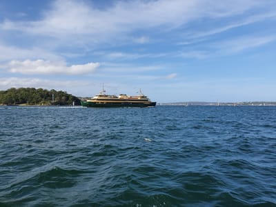 20210117_170948.jpg