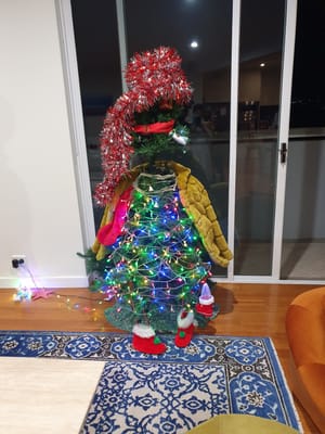 20201207_213503.jpg