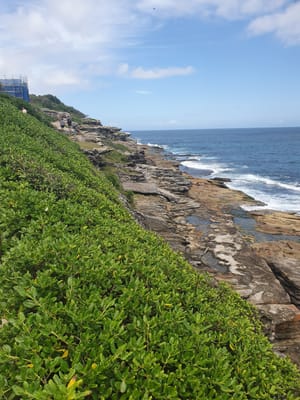 20210207_151213.jpg