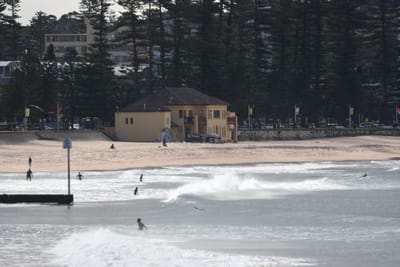 DSC_2995.JPG