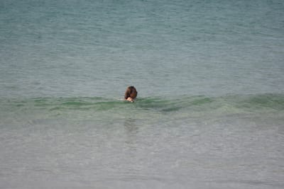 DSC_2998.JPG