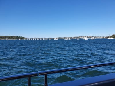 20210116_162541.jpg