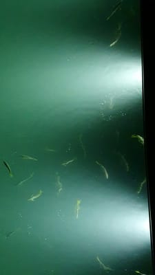 20210116_210308.mp4