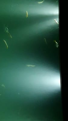 20210116_210433.mp4